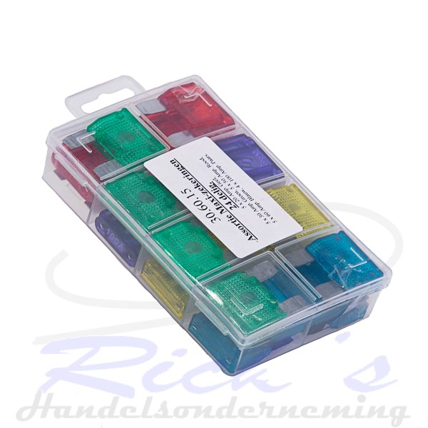 Steekzekeringenset-maxi-24-delig